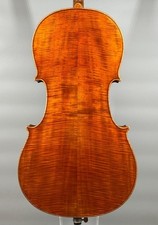 Violoncello maestro