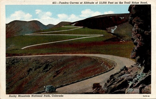 Cartolina tundra curves - cartolina,