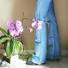 Jeans a zampa vintage Meltin Pot light denim, vita bassa W26L34 XS/S