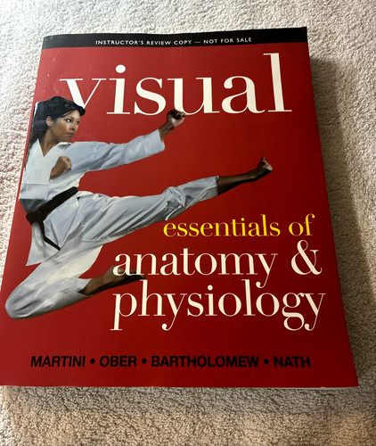 Visual essentials anatomy - essentials, of