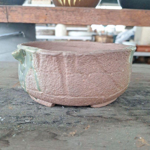 Raro vaso bonsai tradizionale - raro,