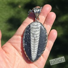 Grande Collana Orthoceras