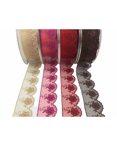 Passamaneria tulle pizzo - 50,