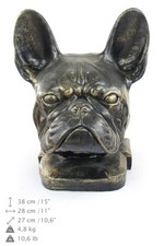 Bulldog Francese, Testa Grande