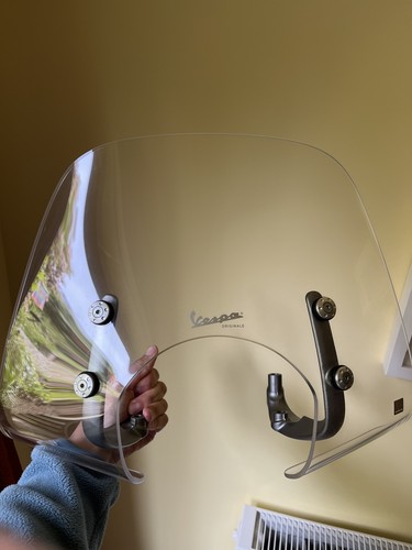 Fly screen for - vespa,