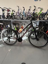 BICICLETTA x28" STEETRAY-BIC