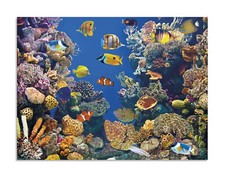 quadro stampa su pannello in
