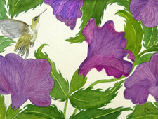 ACQUERELLO PITTURA 11X14 & MAT