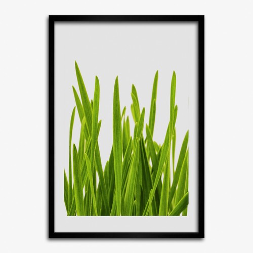 Quadro tulup mdf incorniciato - quadro,