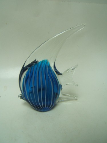 Pesce tropicale blu - , murano