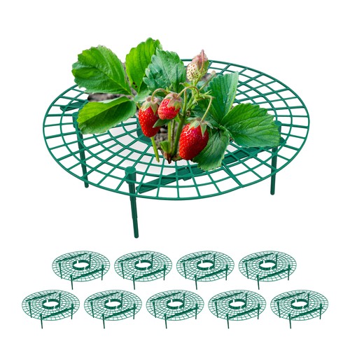 Set anelli supporto fragole - 10,