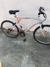 Bicicletta mountain-bike