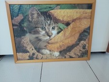 Puzzle gattino con cornice Misure 52x39