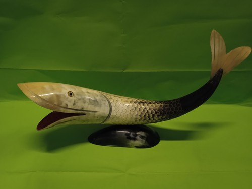 Pesce corno vintage - in, cm