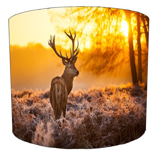 Cappello paralume caccia - paralume, stag