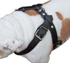 Imbracatura per cani in vera