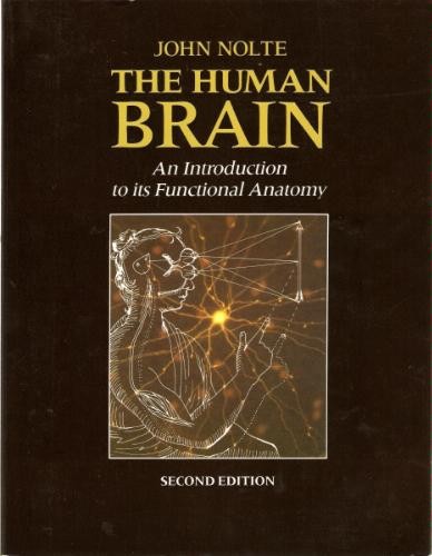 The human brain an - the,