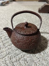 Teiera ferro nambu iwachu - teiera, in