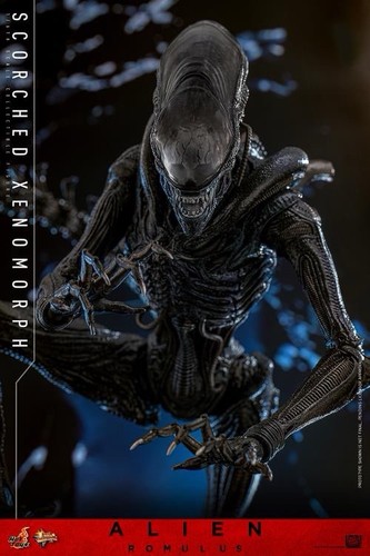 Hot toys alien romulus - hot,