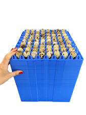 VASSOIO PORTA UOVA OVOBOX PER