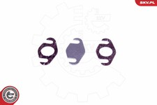 Kit riparazione EGR SMART