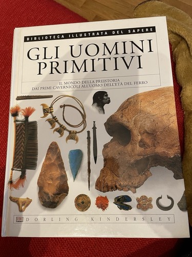 Biblioteca illustrata del - biblioteca,