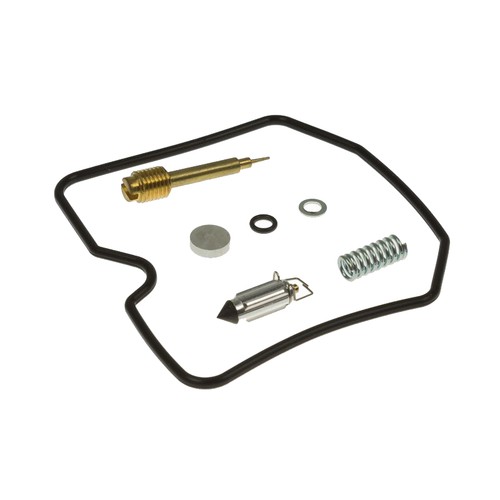 Kit revisione carburatore - revisione,