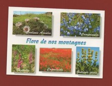 Flora Delle Nostre Montagne (L4810)