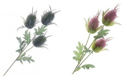 Spray cardo eryngio - spray,