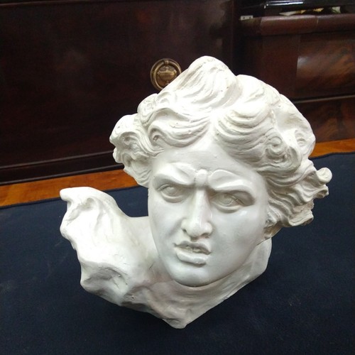 Scultura medusa intagliata - scultura,