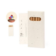 25 Set da 6 Pastelli Matite