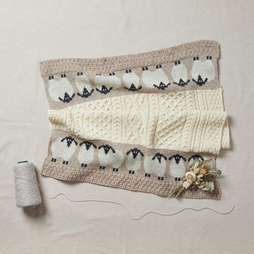 Kids aran sheep - aran, baby