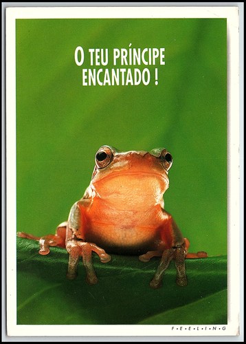 Cartolina divertente principe