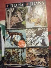 Diana rivista del cacciatore Annata 63 n.1 3,5,6,8,10,14,16,19,21,23,24