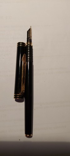 Penna stilografica waterman - stilografica,