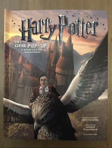 Harry potter pop foster - potter,