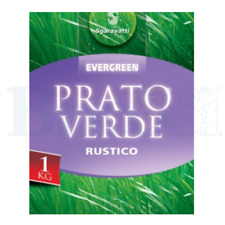 Semi Sementi di Erba per prato