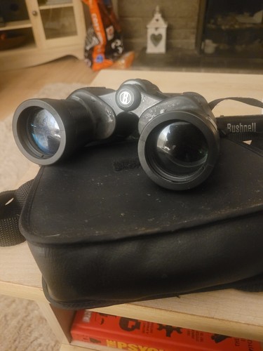 Bushnell 12x42 h20 - bushnell, binocolo