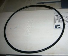 ORING  POMPA ACQUA RAMATA