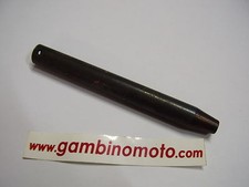 ASTA DISINNESTO STEGOLE