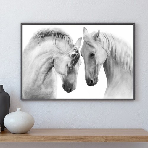 Quadro tela cavallo - quadro,