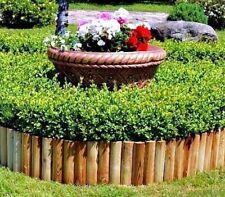 Rollborder in legno impregnato