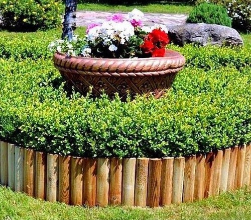 Rollborder legno impregnato - legno,