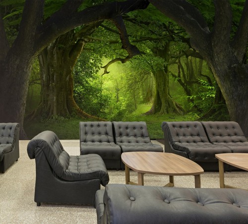 Carta parati foresta - 3d,