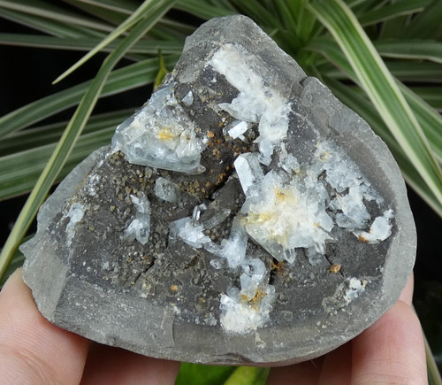 Célestite bleutée dans - célestite,
