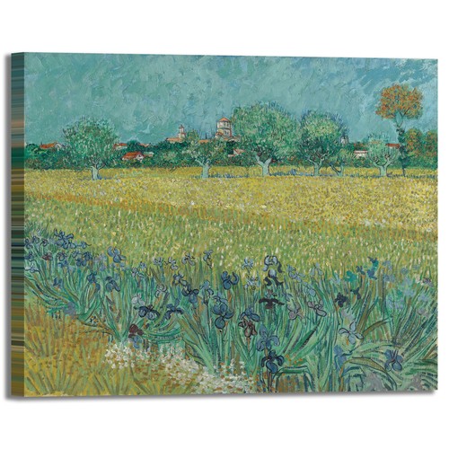 Van gogh campi - van, fiori