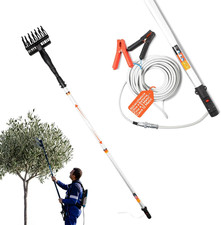 - Abbacchiatore Olive a