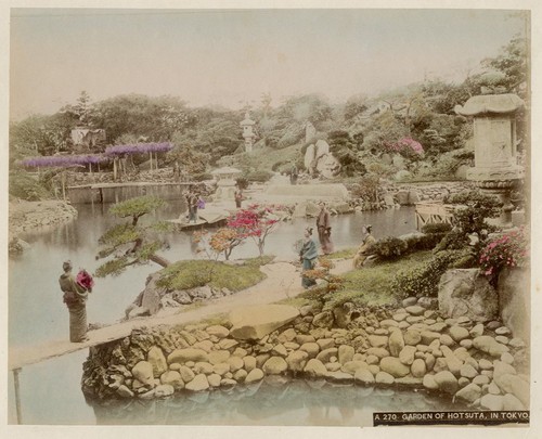 Albumen geisha hotsuta garden - albumen,