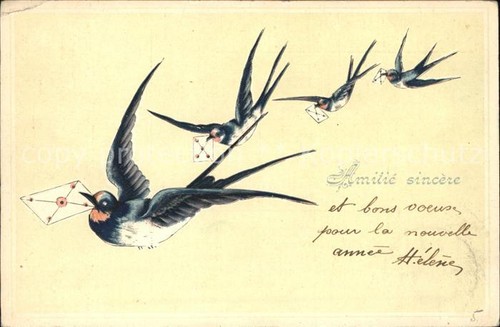 Voegel rondini lettere
