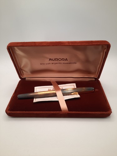 Stilografica aurora argento - in,